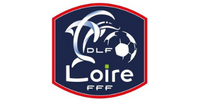 District de la Loire de Football